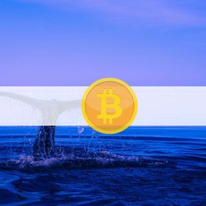 Curious $230M Worth of BTC Transaction From Dormant Whales: Implications on Bitcoin’s Price?