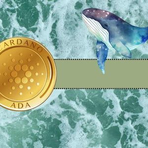 Cardano (ADA) Price Bull Run Imminent? On-Chain Metric Spikes