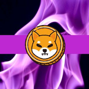 Shiba Inu Burn Rate Explodes 1,300%, What Does it Mean for SHIB’s Price?
