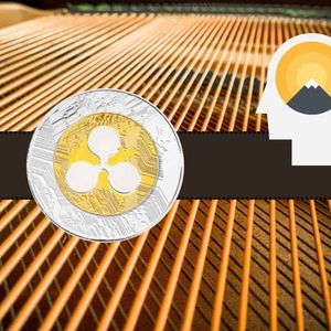 Traders on This Exchange are Extremely Bullish on Ripple (XRP): Do They Know Something?