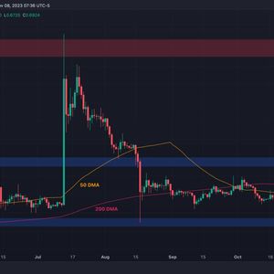 Is XRP About to Skyrocket to $0.9 Next? (Ripple Price Analysis)
