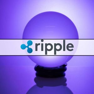Big Deal for Ripple (XRP)? Former SEC Director Praises Company’s Legal Team