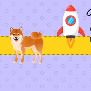 This Bullish Shiba Inu Metric Shoots 3,000%, Could It Trigger SHIB Price Rally?