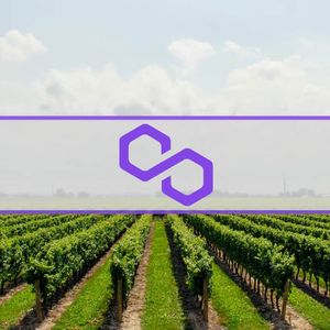 Unlocking MATIC’s Surge: Key Wallets Adds 42.88 Million Tokens, Worth $35 Million