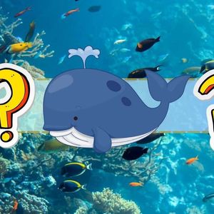 XRP, ETH, or BTC – What Do Whales Withdraw From Binance Amid Latest Rally? (Data)