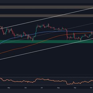 Is Bitcoin on the Verge of a Massive Rally? (BTC Price Analysis)