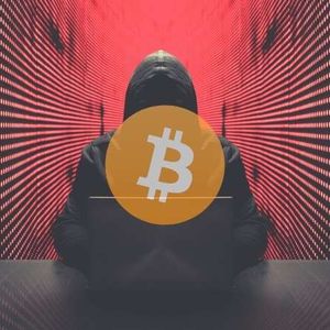 How This Bitcoin Veteran Lost Nearly $1 Million in BTC After A Decade Of HODLing