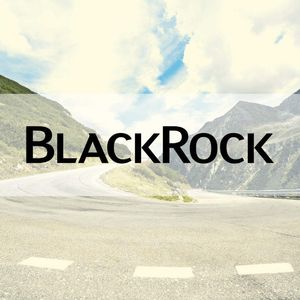 XRP Price Pumps and Dumps on Fake BlackRock Filing: Details