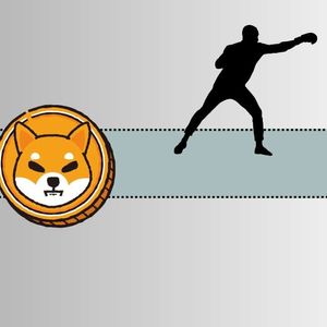Major and Curious Partnership for Shiba Inu (SHIB) Incoming: Who Will the Famous Athlete Be?