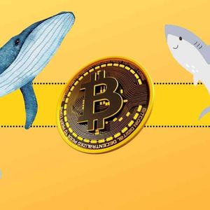 This Whale is Cashing Out Millions as Bitcoin (BTC) Price Correction Looms
