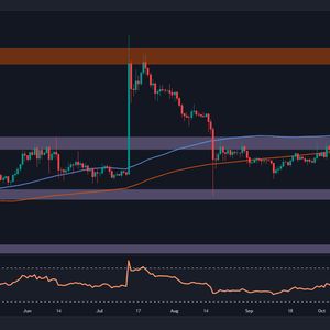 Here Are Two Possible Scenarios For XRP in the Coming Days: Ripple Price Analysis