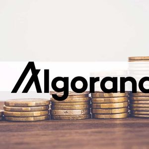 Quantoz Payments Secures License to Issue EURD on Algorand Blockchain