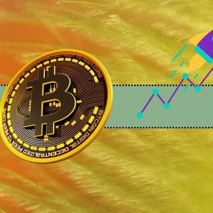 Bitcoin’s Price is Pumping in the Past 24 Hours: Here’s Why