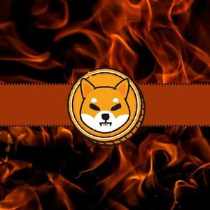 Critical  Shiba Inu (SHIB) Metric Skyrockets by 1,300%, Could It Propel Price Rally?