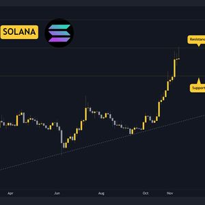 SOL Crashes by 13% on Daily: Three Things to Consider for this Weekend (Solana Price Analysis)