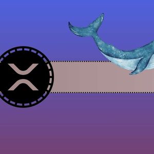Ripple Whales Trigger Market Buzz with Massive Transfers:  XRP Price Slips Amidst Activity