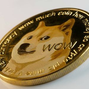 Dogecoin’s On-Chain Surge: Over 5 Million Addresses Now Hold DOGE