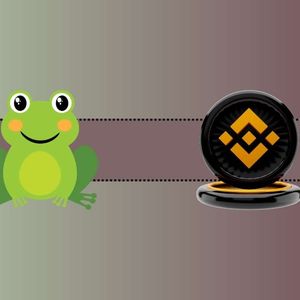 Important Binance Update the Reason for PEPE’s 20% Increase Today