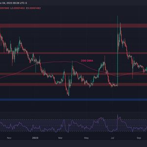 Is XRP About to Explode Like Bitcoin or is a Correction Coming? (Ripple Price Analysis)