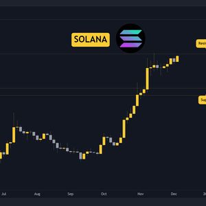 Watch These Metrics During the Ongoing SOL Rollercoaster (Solana Price Analysis)