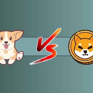 We Asked ChatGPT if BONK Can Replicate Shiba Inu’s Previous Bull Run