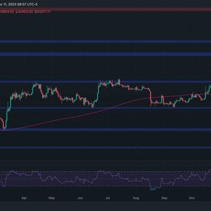 What’s Causing the Current Bitcoin Crash and How Low Can it Go? (BTC Price Analysis)