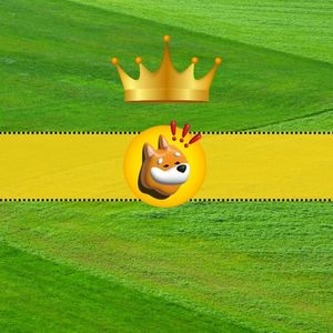 BONK Surpasses PEPE as the Third-Largest Memecoin by Market Cap: Details