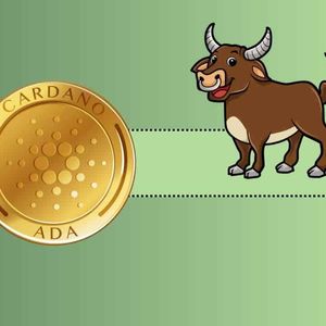Cardano Set to Explode? ADA Price Stable Despite Market Correction
