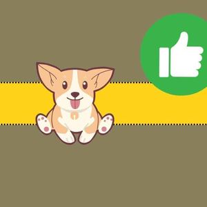 BONK Meme Coin Update: Coinbase Listing Incoming?