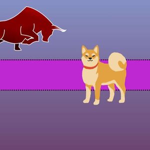Is Shiba Inu (SHIB) on the Verge of a Bull Rally? Closer Look at Important Metric