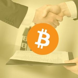 Ordinals and BRC-20 Are Not Displacing Normal BTC Transactions: Glassnode