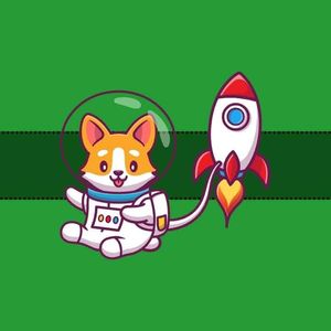 Three Reasons Why BONK Price is Up 1200% in 30 Days