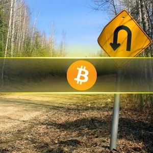 Bitcoin Ends 11-Week Winning Streak With $33M Outflows While Altcoins Buck Trend: CoinShares