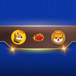 Will BONK Flip Shiba Inu (SHIB)? Arthur Hayes Chips In