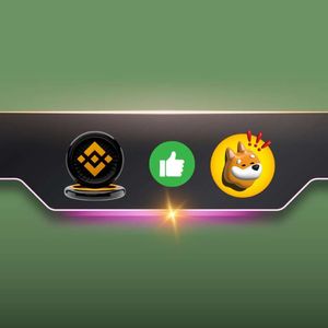Important Binance Announcement Concerning Bonk Inu (BONK)