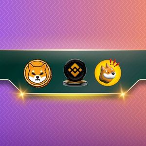 Binance Releases an Important Update Affecting Shiba Inu (SHIB) and Bonk Inu (BONK) Traders