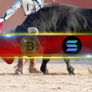 BTC Rejected at $44K, SOL Skyrockets to $100 and Surpasses XRP as 5th Largest Crypto: This Week’s Recap