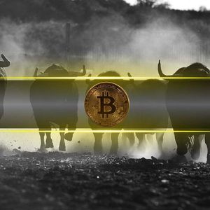 8 Signs The Bitcoin Price Bull Market Isn’t Over