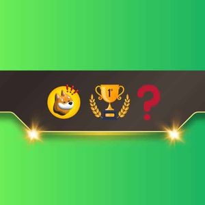We Asked ChatGPT if BONK Will be the Biggest Memecoin on Solana Next Year