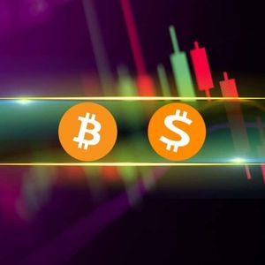 Bitcoin (BTC) Falls Below $43K, SATS (1000SATS) Soars by 20% Daily (Market Watch)