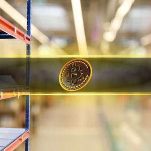 Deficiencies in Spot Bitcoin Market Amid ETF Expectations Revealed