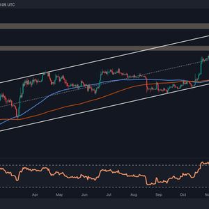 Can BTC Reach $50K This Week? (Bitcoin Price Analysis)