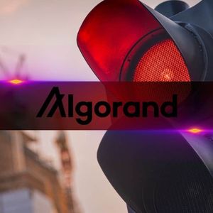 Algorand Investors Face Setbacks, 88% of ALGO Holders in Loss: Analysis