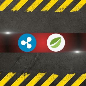 Potential Bitfinex $15B XRP ‘Partial Payments’ Exploit Thwarted