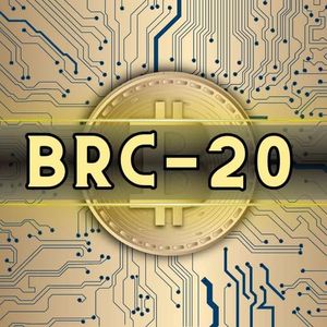 BRC-20 Token Trading Volume Skyrockets 10x Since November 2023, Kaiko Reports
