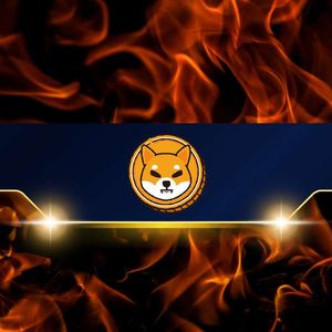 Shiba Inu Burn Rate Explodes 3,000% But the SHIB Price Corrects