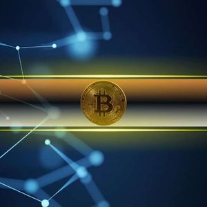 Completely Different Than the 2021 Bitcoin Bull Run: How Taproot Adoption Reshapes Network Dynamics