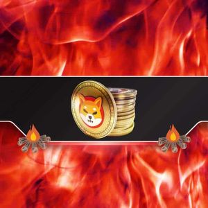 Massive Increase in the Shiba Inu (SHIB) Burn Rate amid Market Resurgence