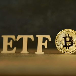 Streak Over: These Bitcoin Spot ETFs See First Day With Zero Inflows