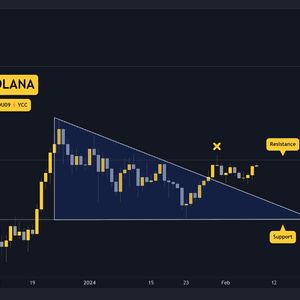 Watch These Three Things as SOL Explodes 7% Despite Network Crash and Restart (Solana Price Analysis)